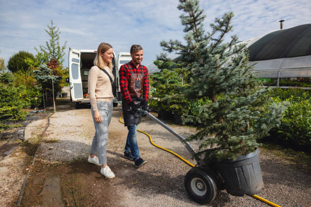 Best Affordable Tree Cutting  in USA